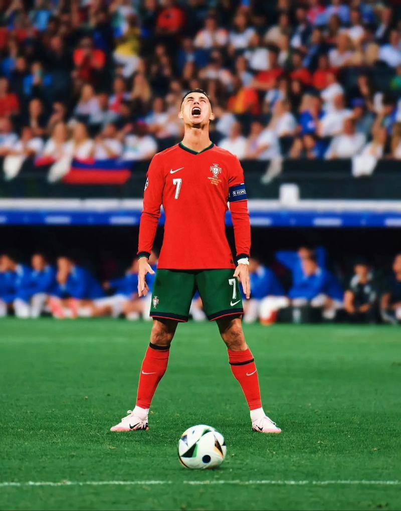 的丰富经验 的丰富经验