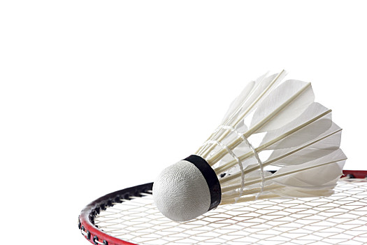 争夺升级资 争夺升级资